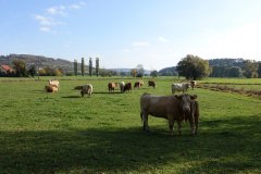 Gemeinde Bindlach Aktuelles & Termine